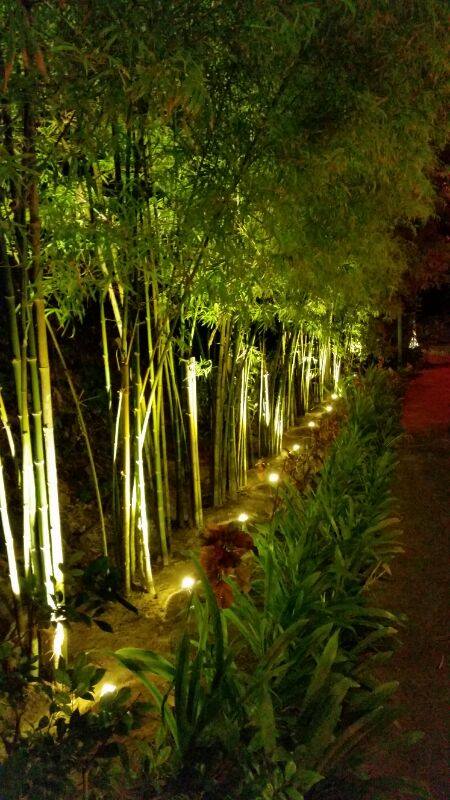 10363370_639286796154770_5557770089760856158_n